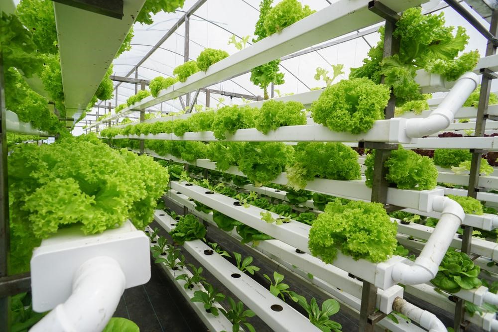 agricultura vertical eficiente peru
